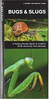 Waterford Press Pocket Naturalist Guide - Bugs & Slugs